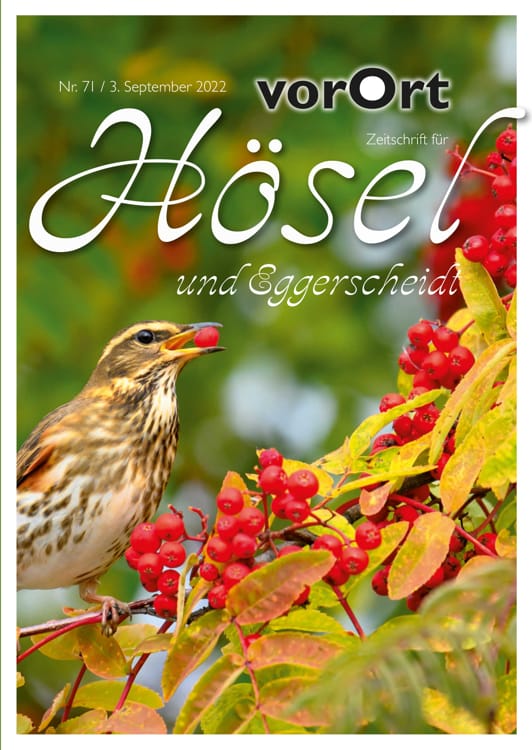 Cover Hoesel vorOrt Hösel 71 03. September 2022